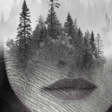 ghost in the machine – Double Exposure