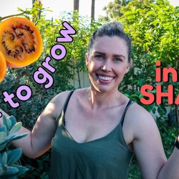 SHADE-loving plants