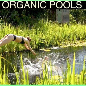 Natural Pools