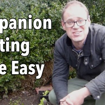 Garden Planner Tutorial Series – by GrowVeg