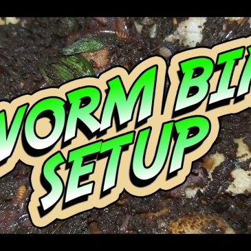 Worm Farming Beginners Guides – by The Worm Whisperer